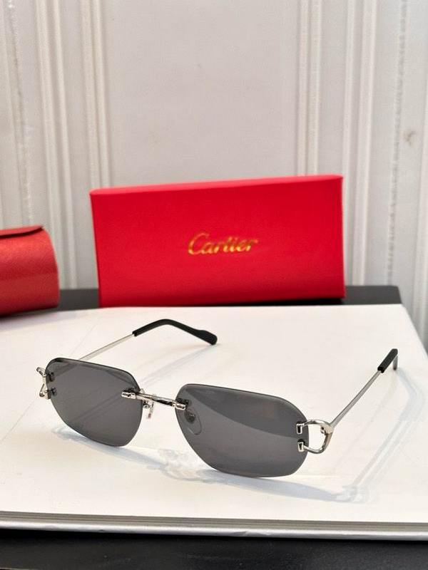 Cartier Sunglasses 1023